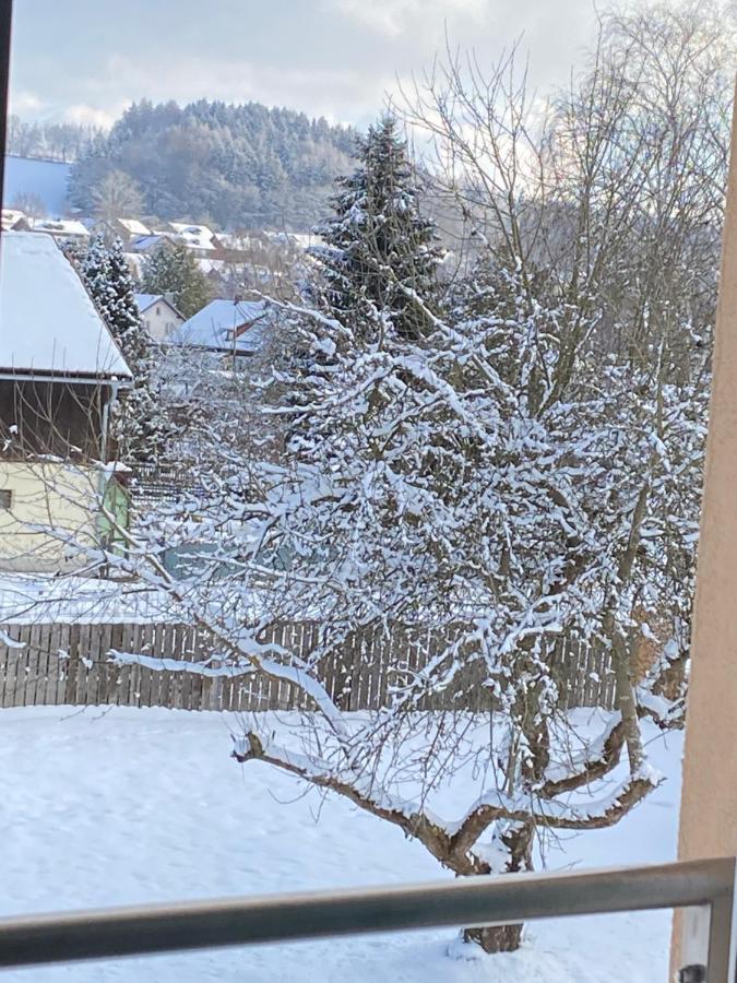 Grosszuegig Und Komfortabel:Ferienwohnung Im Bayerischen Wald! Wiesenfelden Экстерьер фото